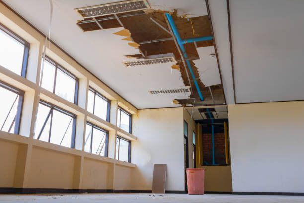 Best Water damage repair service  in Circleville, OH