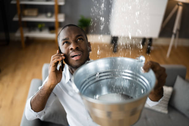 Best Flooded house restoration  in Circleville, OH