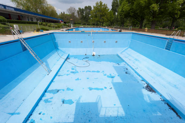 Best Professional water damage repair  in Circleville, OH