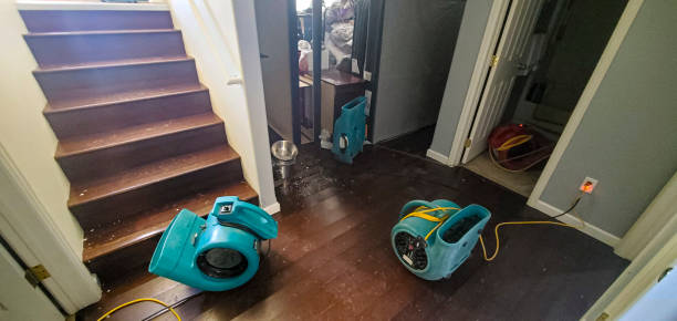 Best Carpet water damage restoration  in Circleville, OH