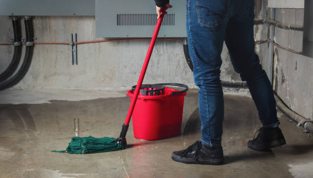 Best Sewage cleanup and water damage restoration  in Circleville, OH