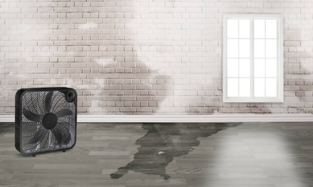Best Sewage cleanup and water damage restoration  in Circleville, OH