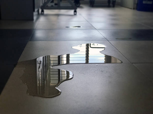 Best 24/7 water damage repair  in Circleville, OH
