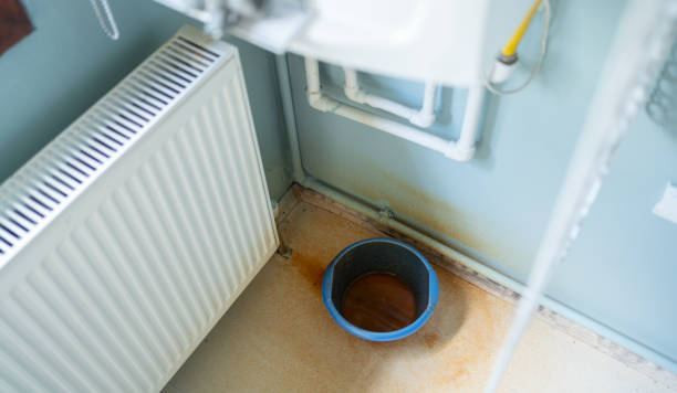 Best Sewage cleanup and water damage restoration  in Circleville, OH