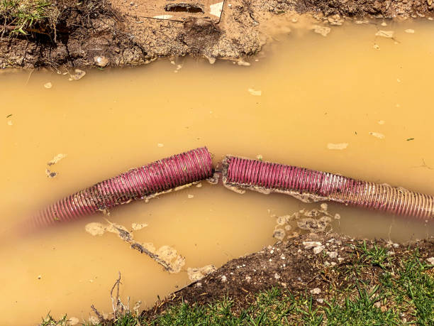 Best Basement water damage restoration  in Circleville, OH